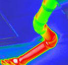 Pipe Thermal Image