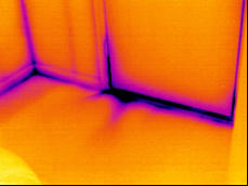 Thermal Image
